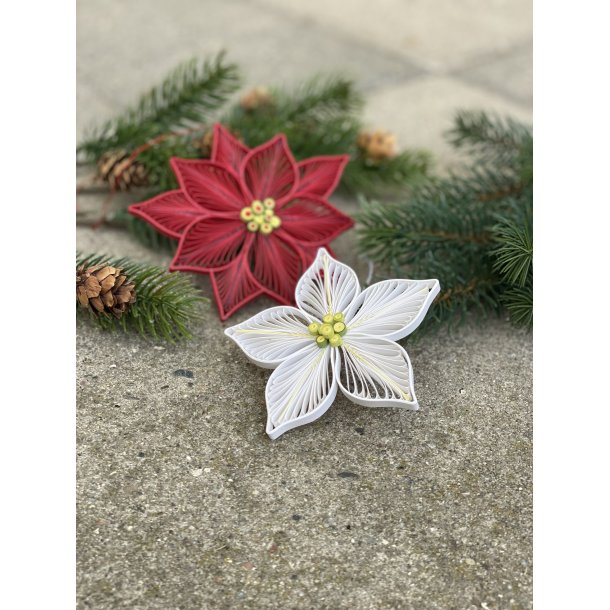 Instruktion Quilling Julestjerne