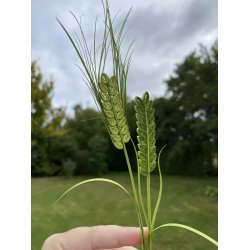 Instruktion Quilling Korn