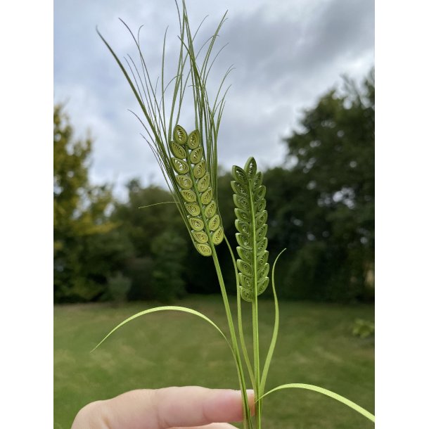 Instruktion Quilling Korn