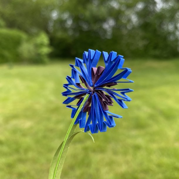 Instruktion Quilling Kornblomst