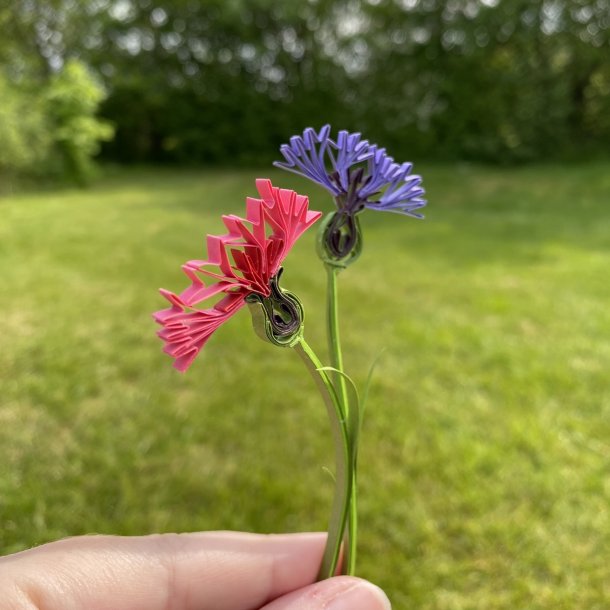 Instruktion Quilling Kornblomst