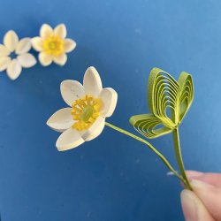 Instruktion Quilling Anemone