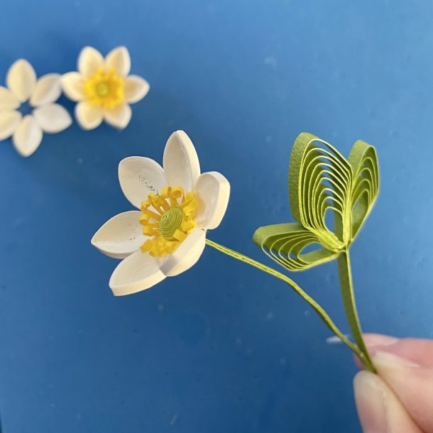 Instruktion Quilling Anemone
