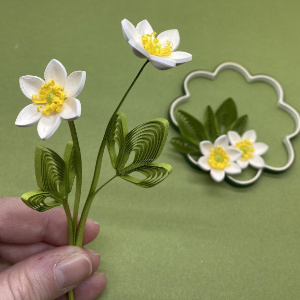 Instruktion Quilling Anemone